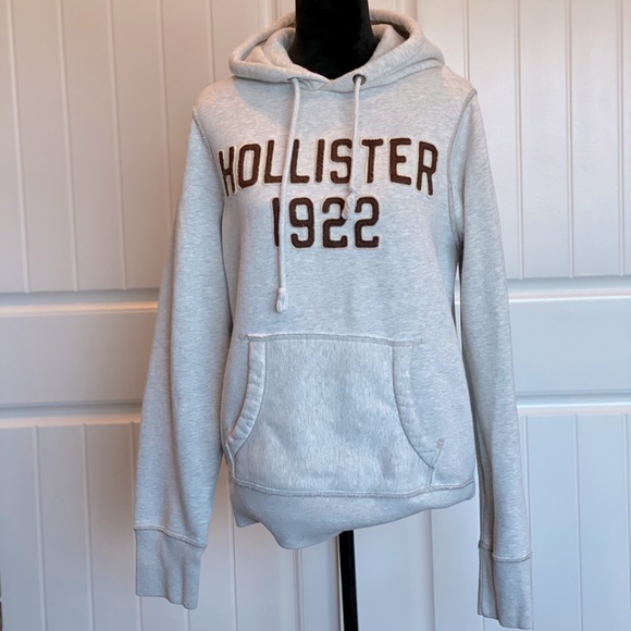 hollister thick hoodie